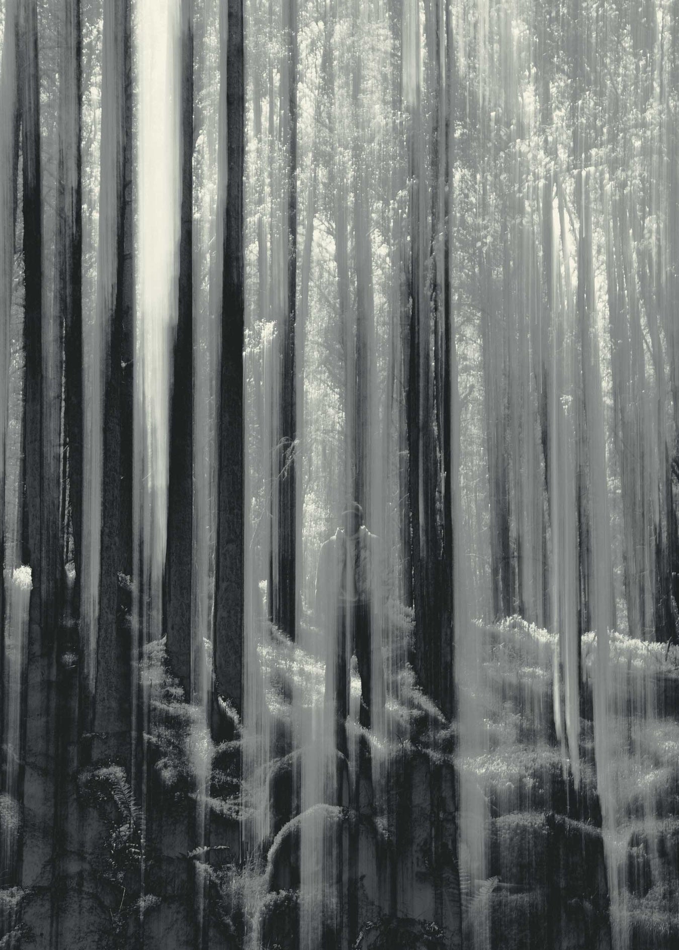 AW25 · Respect Nature · Utilise Technology