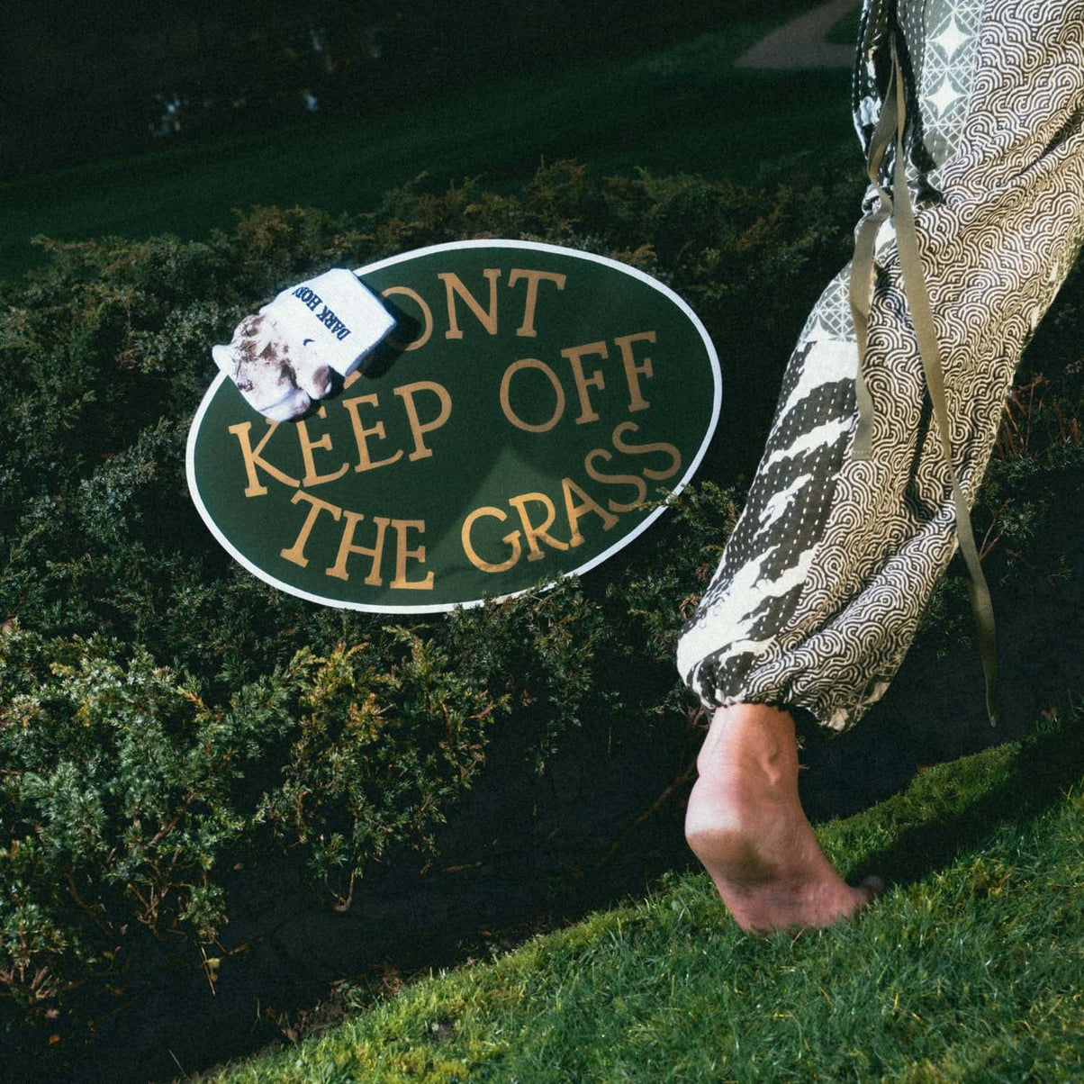 Maharishi · Dark Horse Records