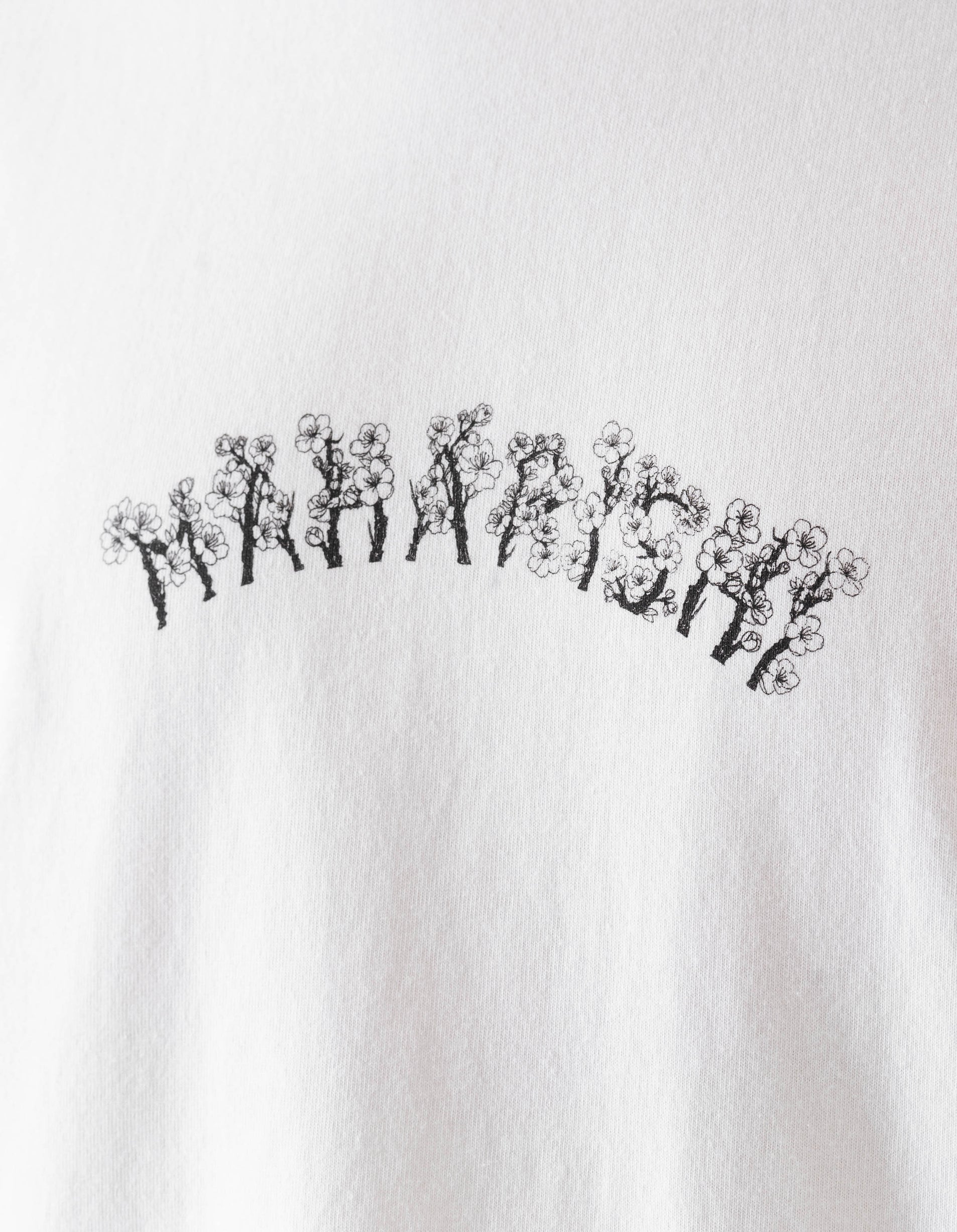 Text design on a white background with decorative elements