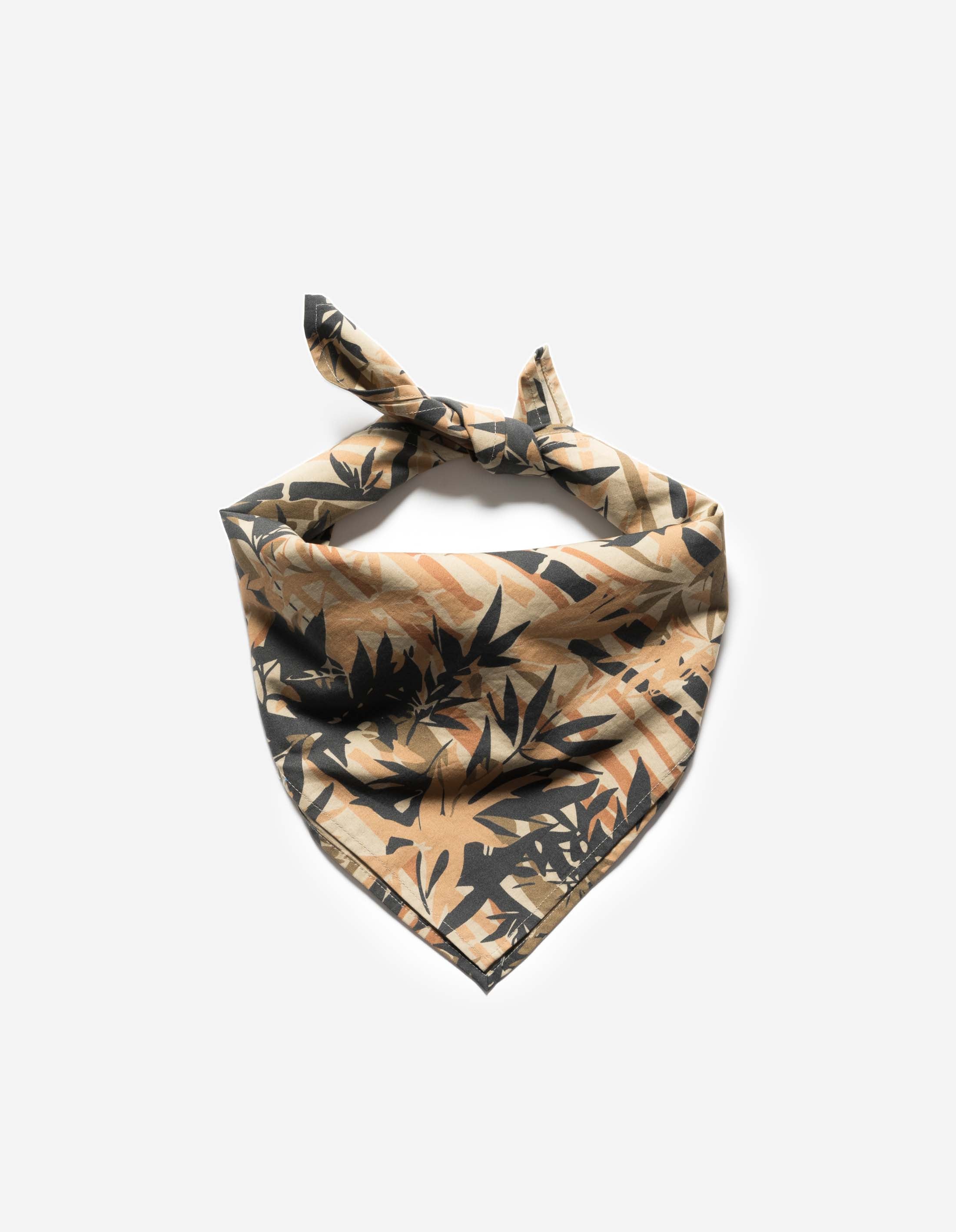 DPM – Maharishi