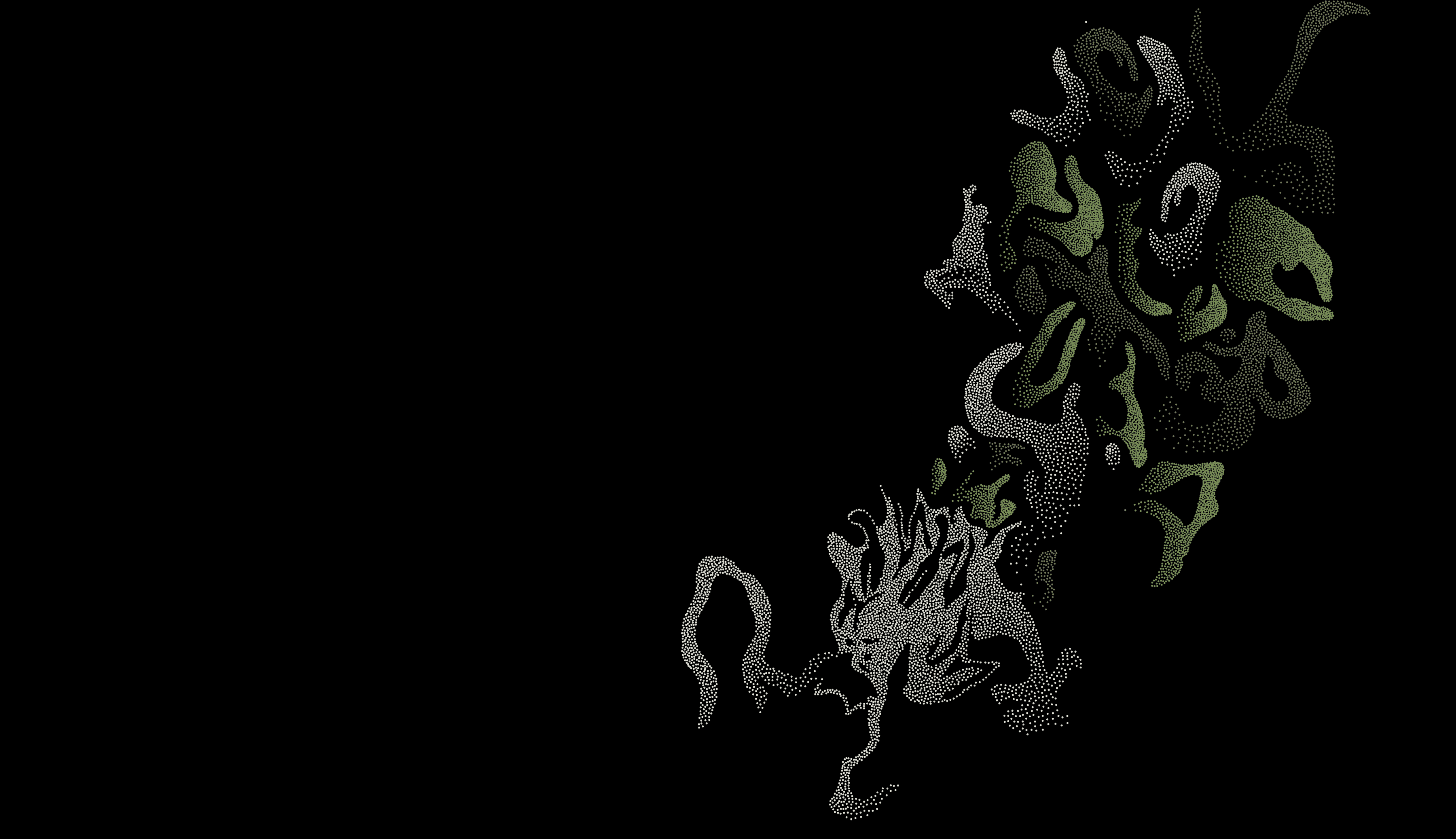 DPM: KorOm
