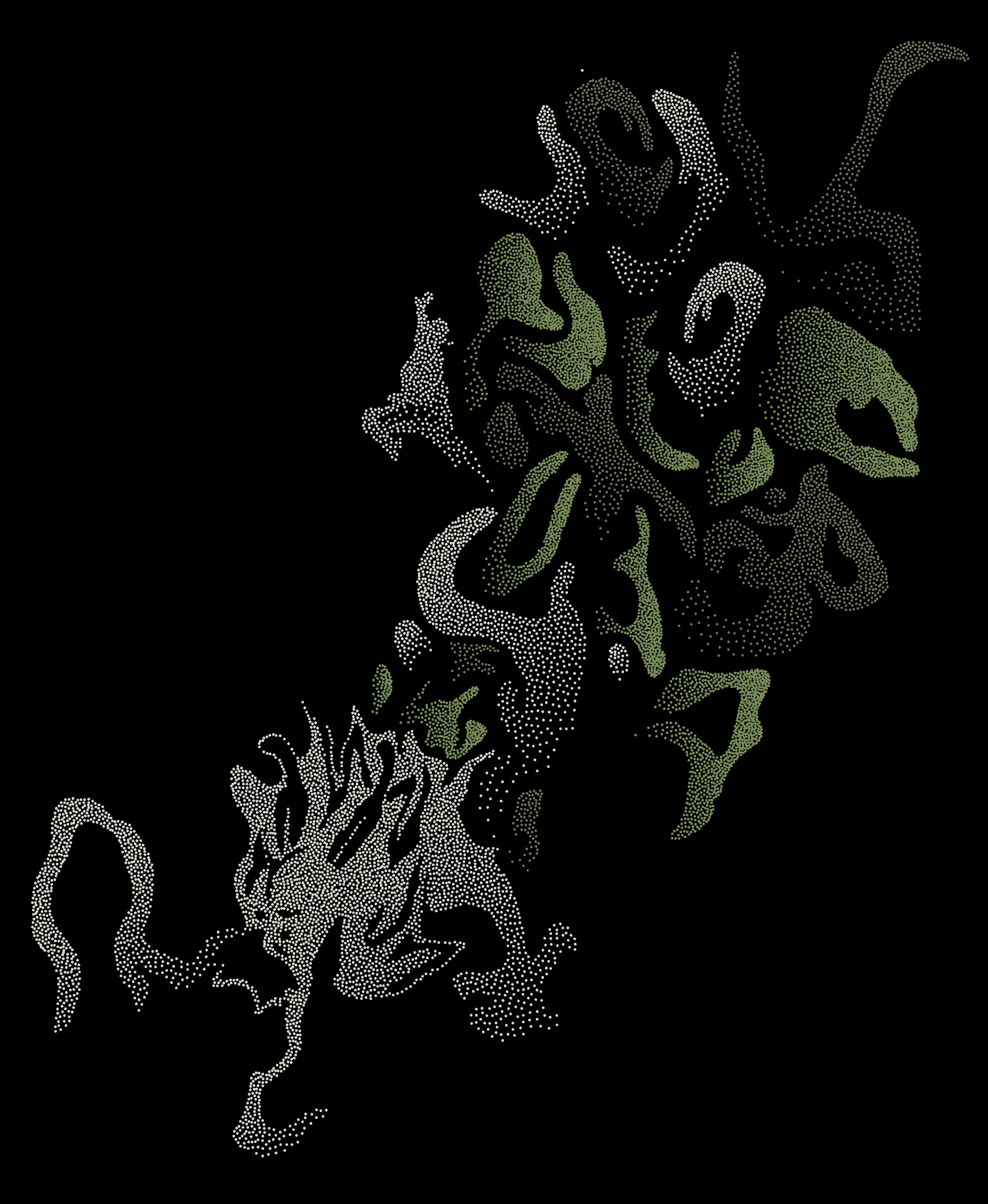 DPM: KorOm