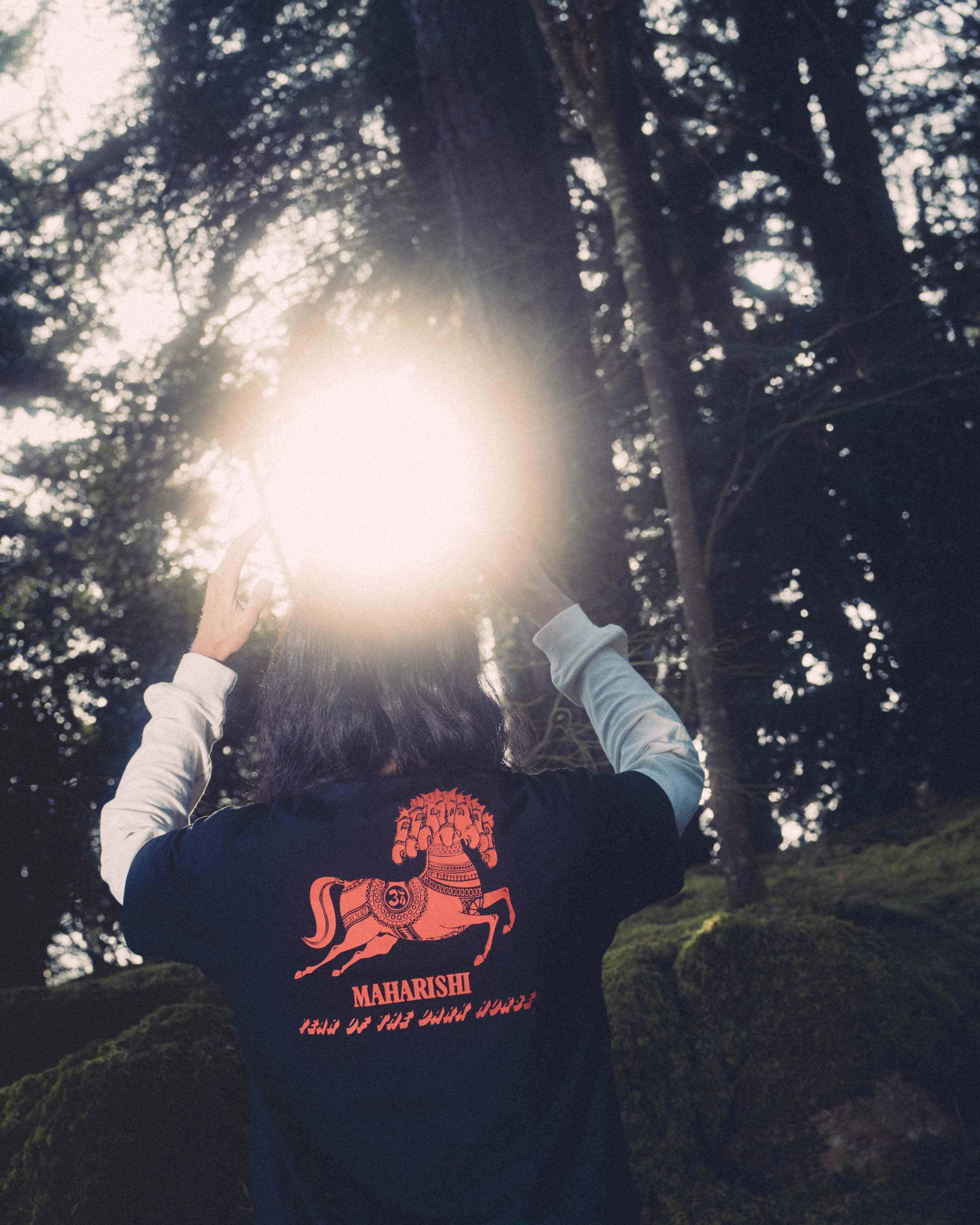 Maharishi & Dark Horse Records | Year of the Dark Horse