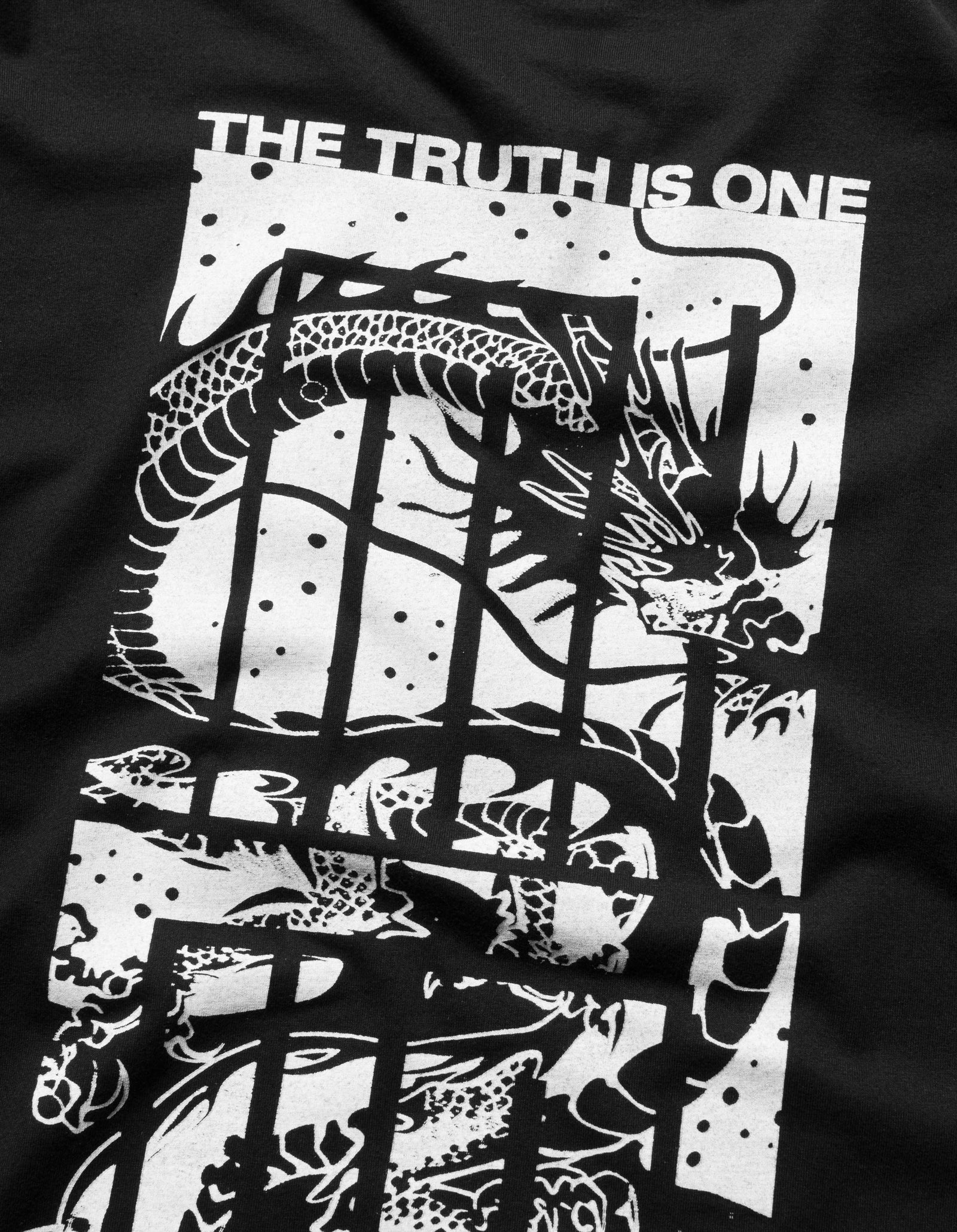 6130 The Truth is One L/S T-Shirt Black