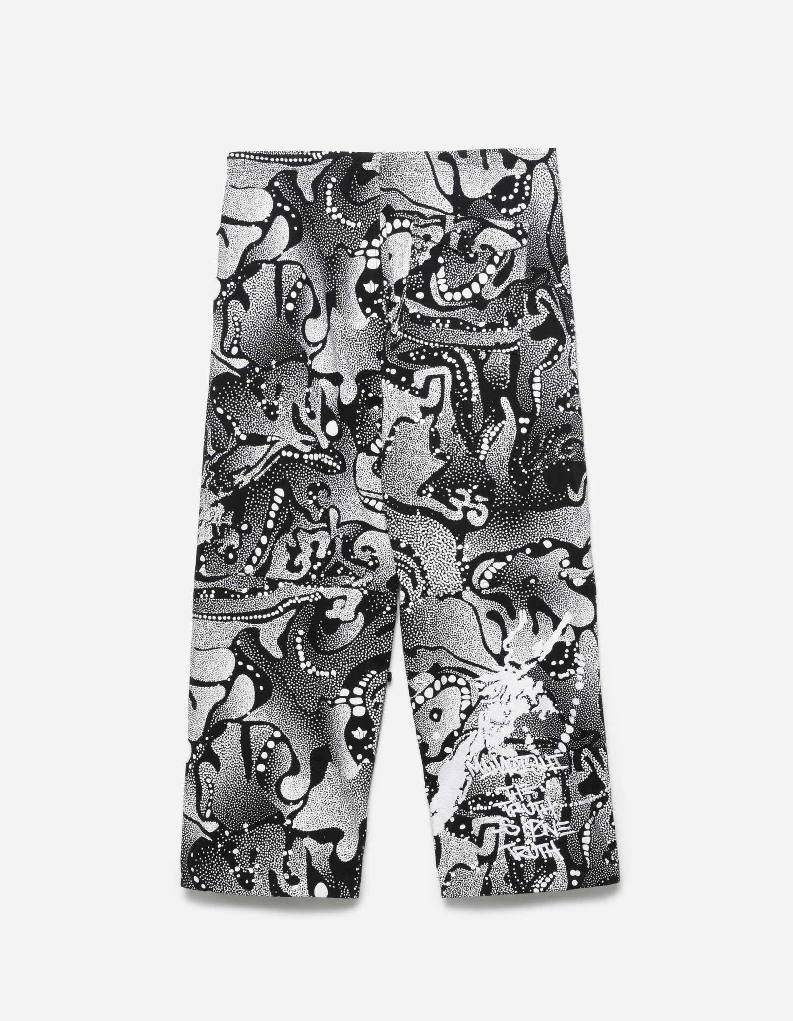 6124 Fubuki Dragon Loose Snopants Blizzard