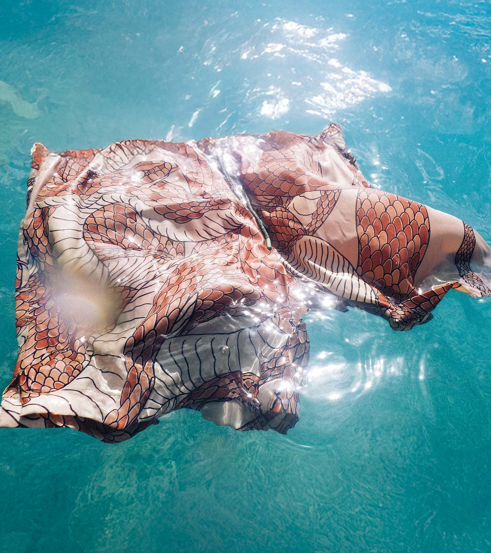 Swim Shorts